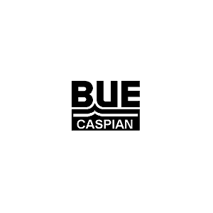 blue logo